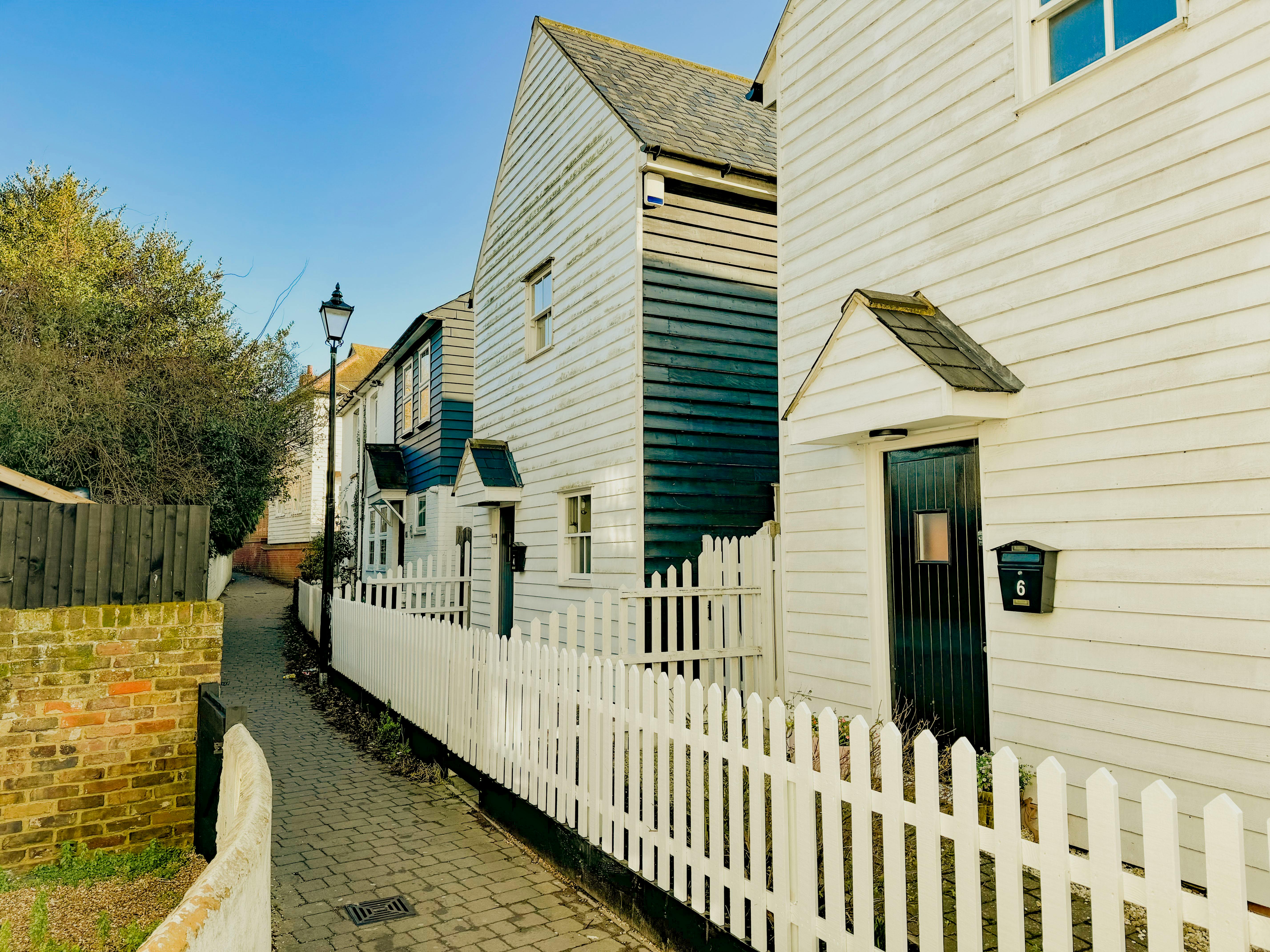 pexels-eric-seddon-1664101-31415786
